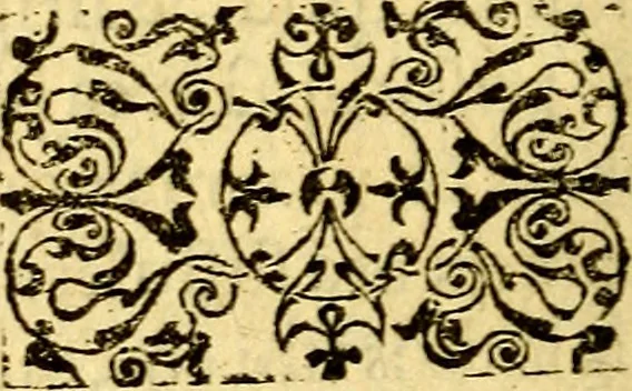 An illustration from Petri Costalij Pegma, : cum narrationibus philosophicis, 1555, leaf 19