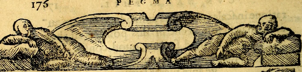 An illustration from Petri Costalij Pegma, : cum narrationibus philosophicis, 1555, leaf 197