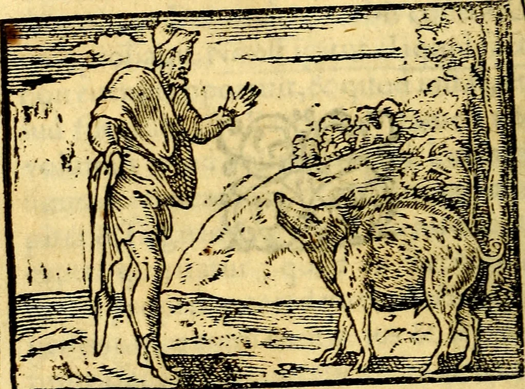 An illustration from Petri Costalij Pegma, : cum narrationibus philosophicis, 1555, leaf 197