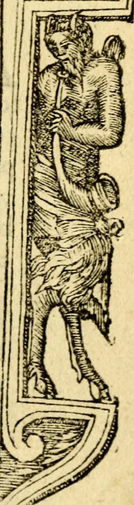 An illustration from Petri Costalij Pegma, : cum narrationibus philosophicis, 1555, leaf 20