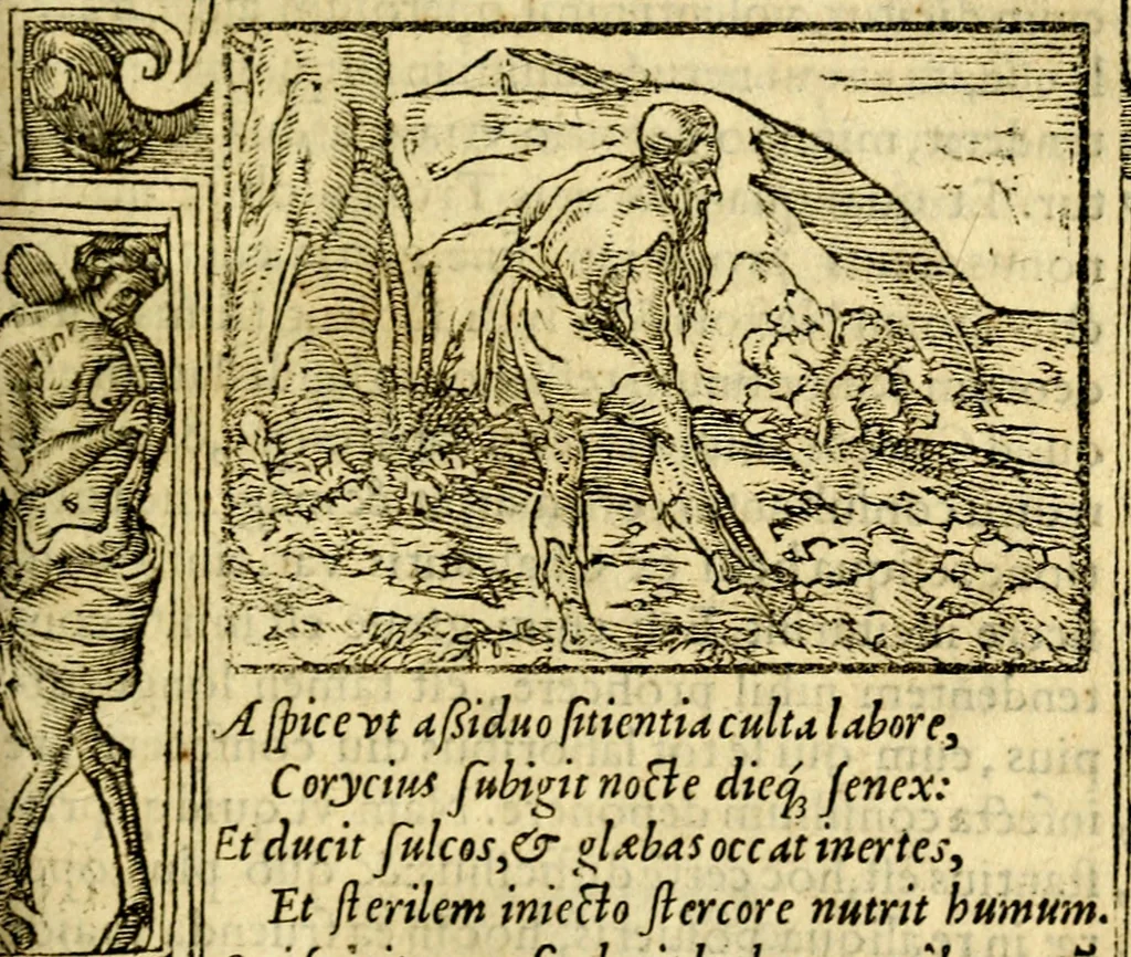 An illustration from Petri Costalij Pegma, : cum narrationibus philosophicis, 1555, leaf 212