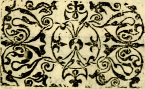 An illustration from Petri Costalij Pegma, : cum narrationibus philosophicis, 1555, leaf 220