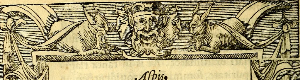 An illustration from Petri Costalij Pegma, : cum narrationibus philosophicis, 1555, leaf 221