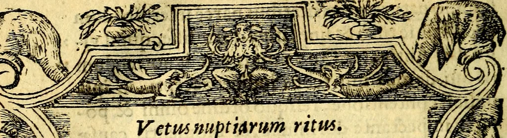 An illustration from Petri Costalij Pegma, : cum narrationibus philosophicis, 1555, leaf 233