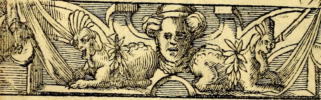 An illustration from Petri Costalij Pegma, : cum narrationibus philosophicis, 1555, leaf 25