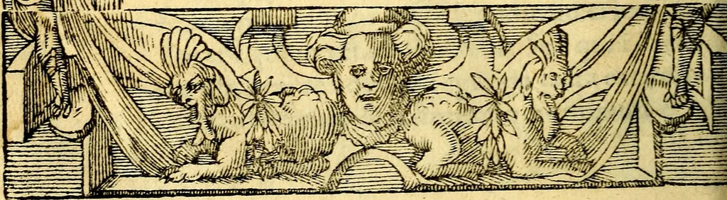 An illustration from Petri Costalij Pegma, : cum narrationibus philosophicis, 1555, leaf 253