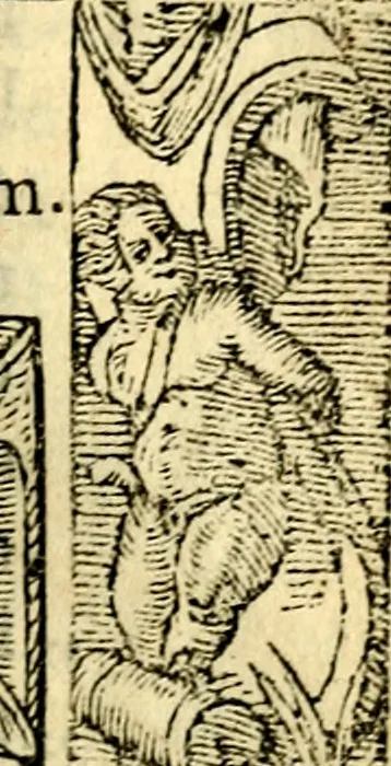 An illustration from Petri Costalij Pegma, : cum narrationibus philosophicis, 1555, leaf 262