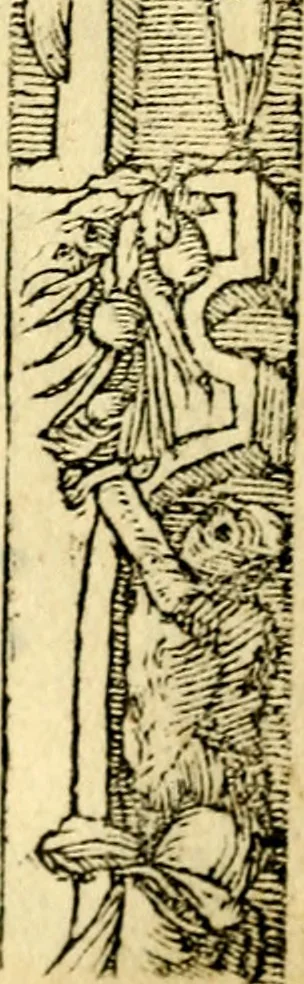 An illustration from Petri Costalij Pegma, : cum narrationibus philosophicis, 1555, leaf 262