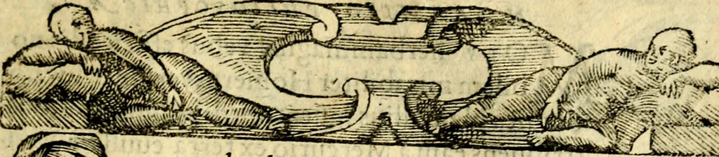 An illustration from Petri Costalij Pegma, : cum narrationibus philosophicis, 1555, leaf 266