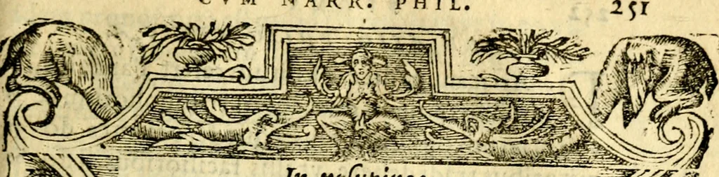 An illustration from Petri Costalij Pegma, : cum narrationibus philosophicis, 1555, leaf 272