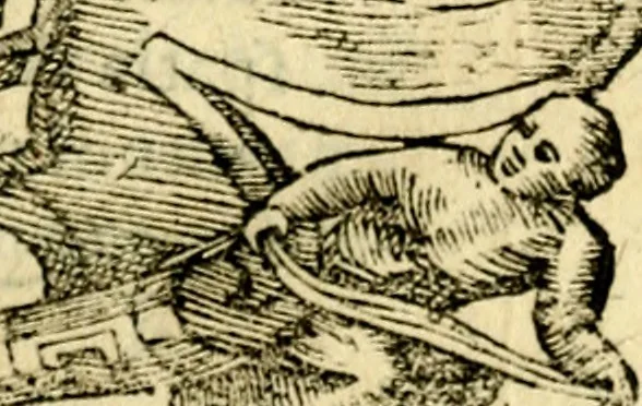 An illustration from Petri Costalij Pegma, : cum narrationibus philosophicis, 1555, leaf 276