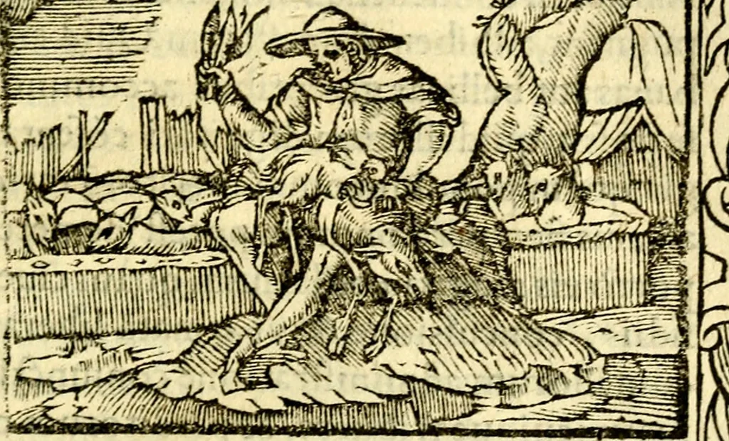 An illustration from Petri Costalij Pegma, : cum narrationibus philosophicis, 1555, leaf 288