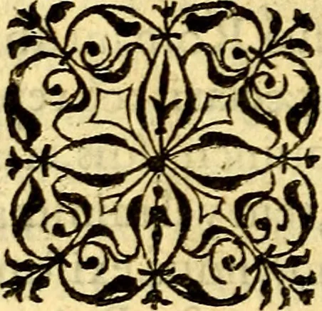 An illustration from Petri Costalij Pegma, : cum narrationibus philosophicis, 1555, leaf 29
