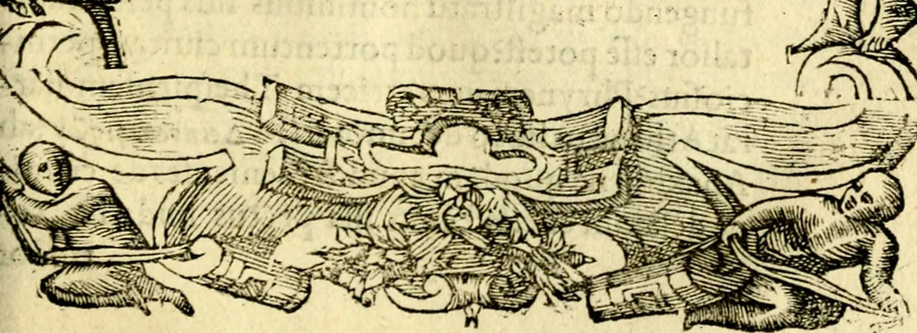 An illustration from Petri Costalij Pegma, : cum narrationibus philosophicis, 1555, leaf 292