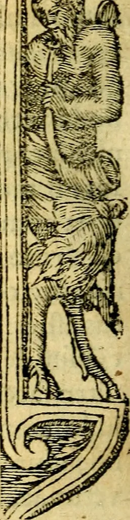 An illustration from Petri Costalij Pegma, : cum narrationibus philosophicis, 1555, leaf 307