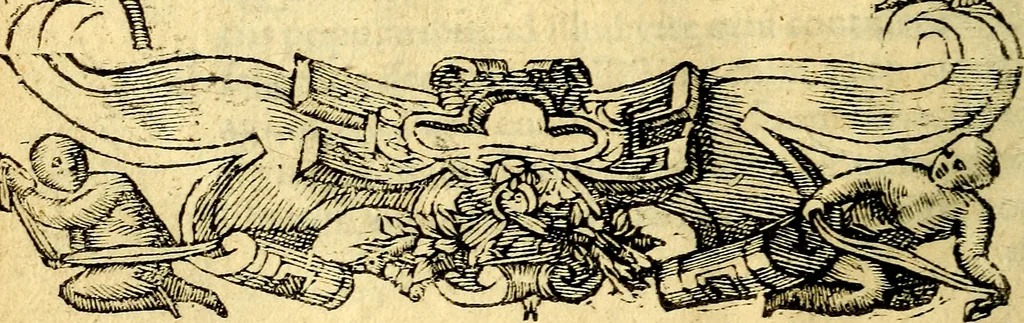 An illustration from Petri Costalij Pegma, : cum narrationibus philosophicis, 1555, leaf 317