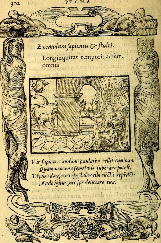An illustration from Petri Costalij Pegma, : cum narrationibus philosophicis, 1555, leaf 323
