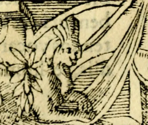 An illustration from Petri Costalij Pegma, : cum narrationibus philosophicis, 1555, leaf 326
