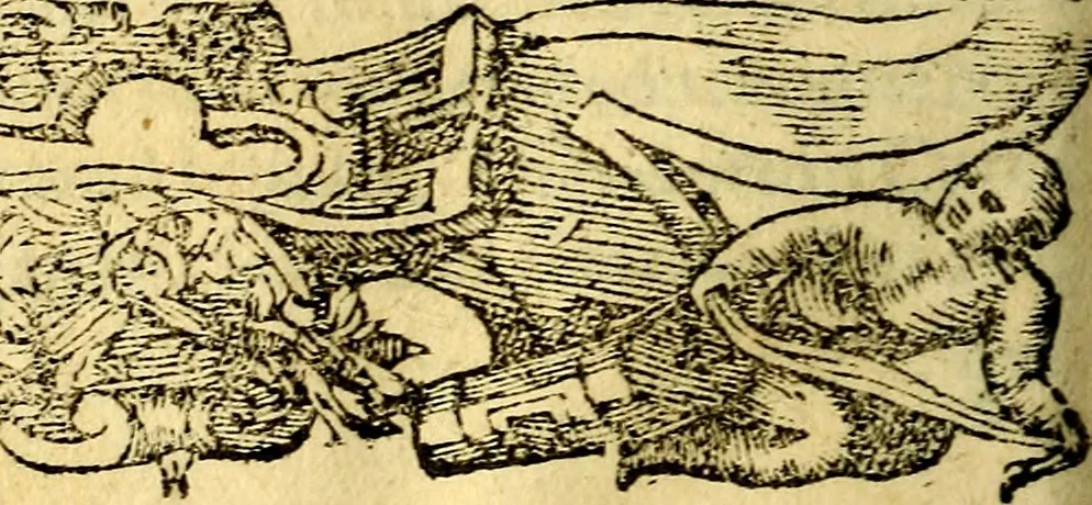 An illustration from Petri Costalij Pegma, : cum narrationibus philosophicis, 1555, leaf 333