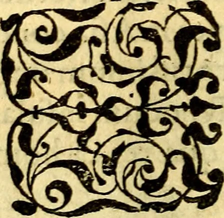 An illustration from Petri Costalij Pegma, : cum narrationibus philosophicis, 1555, leaf 335
