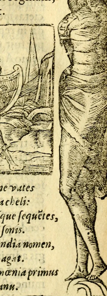 An illustration from Petri Costalij Pegma, : cum narrationibus philosophicis, 1555, leaf 336