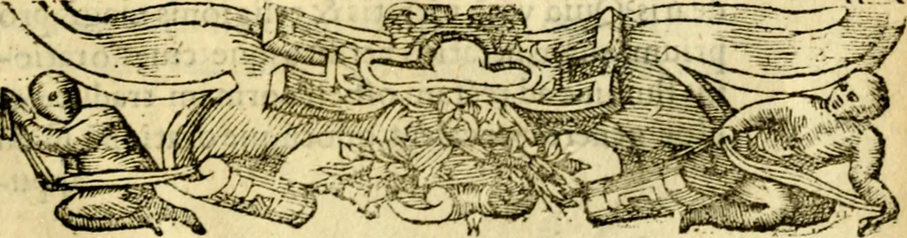 An illustration from Petri Costalij Pegma, : cum narrationibus philosophicis, 1555, leaf 336
