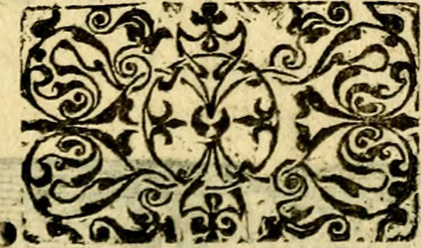 An illustration from Petri Costalij Pegma, : cum narrationibus philosophicis, 1555, leaf 44