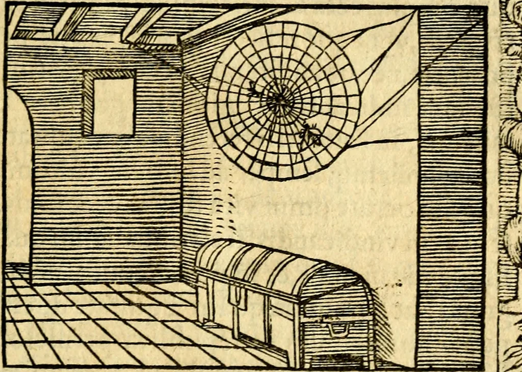 An illustration from Petri Costalij Pegma, : cum narrationibus philosophicis, 1555, leaf 64