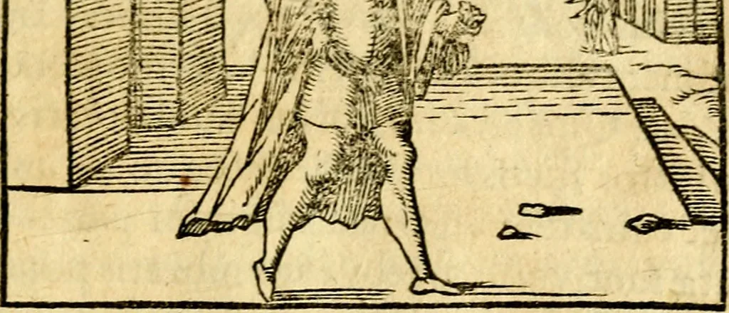 An illustration from Petri Costalij Pegma, : cum narrationibus philosophicis, 1555, leaf 68