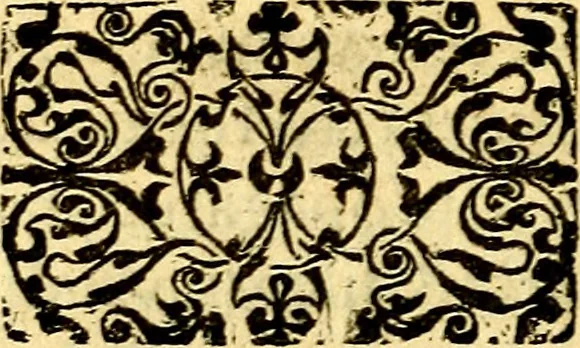 An illustration from Petri Costalij Pegma, : cum narrationibus philosophicis, 1555, leaf 71