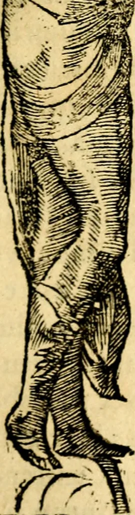 An illustration from Petri Costalij Pegma, : cum narrationibus philosophicis, 1555, leaf 76