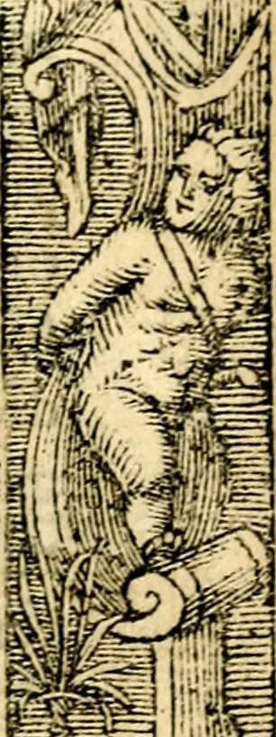 An illustration from Petri Costalij Pegma, : cum narrationibus philosophicis, 1555, leaf 86