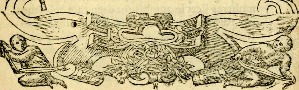 An illustration from Petri Costalij Pegma, : cum narrationibus philosophicis, 1555, leaf 90
