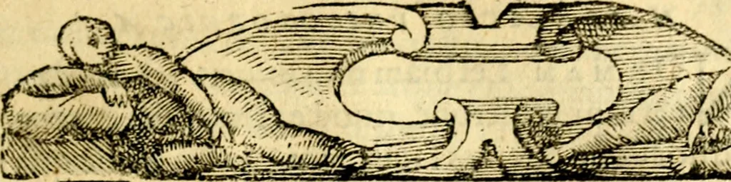 An illustration from Petri Costalij Pegma, : cum narrationibus philosophicis, 1555, leaf 92