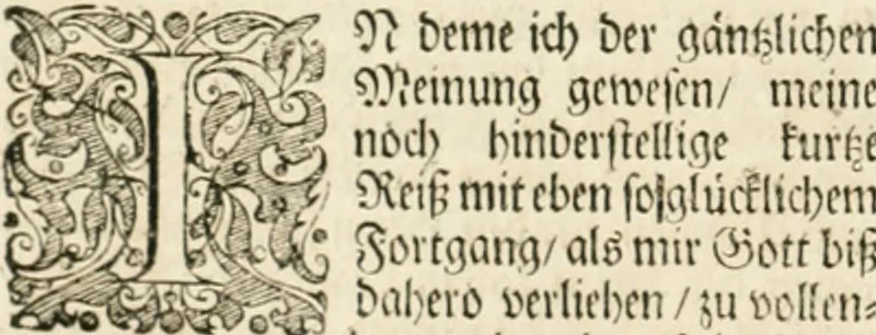 An illustration from Petri della Valle, eines vornehmen Römischen patritii, Reiss-Beschreibung in unterschiedliche Theile der Welt : nemlich in Türckey, Egypten, Palestina, Persien, Ost-Indien, und andere weit entlegene Landschafften, samt einer aussführlichen Erzehlung aller Denck- und Merckwürdigster Sachen, so darinnen zu finden und anzutreffen ..., 1674, leaf 1041