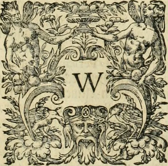 An illustration from Petri della Valle, eines vornehmen Römischen patritii, Reiss-Beschreibung in unterschiedliche Theile der Welt : nemlich in Türckey, Egypten, Palestina, Persien, Ost-Indien, und andere weit entlegene Landschafften, samt einer aussführlichen Erzehlung aller Denck- und Merckwürdigster Sachen, so darinnen zu finden und anzutreffen ..., 1674, leaf 546
