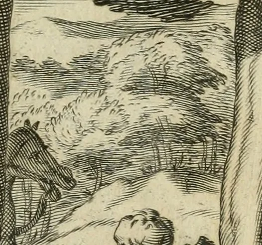 An illustration from Petri della Valle, eines vornehmen Römischen patritii, Reiss-Beschreibung in unterschiedliche Theile der Welt : nemlich in Türckey, Egypten, Palestina, Persien, Ost-Indien, und andere weit entlegene Landschafften, samt einer aussführlichen Erzehlung aller Denck- und Merckwürdigster Sachen, so darinnen zu finden und anzutreffen ..., 1674, leaf 702