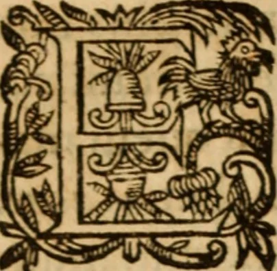 An illustration from Petri Francisci Phrygii ... Commentarii in historias epidemicas Hippocratis : in tres partes digesti .., 1644, leaf 107