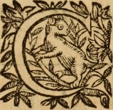 An illustration from Petri Francisci Phrygii ... Commentarii in historias epidemicas Hippocratis : in tres partes digesti .., 1644, leaf 130