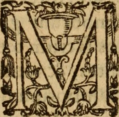 An illustration from Petri Francisci Phrygii ... Commentarii in historias epidemicas Hippocratis : in tres partes digesti .., 1644, leaf 146