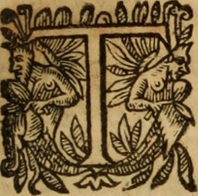 An illustration from Petri Francisci Phrygii ... Commentarii in historias epidemicas Hippocratis : in tres partes digesti .., 1644, leaf 178
