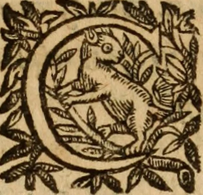 An illustration from Petri Francisci Phrygii ... Commentarii in historias epidemicas Hippocratis : in tres partes digesti .., 1644, leaf 178