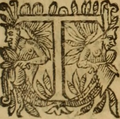 An illustration from Petri Francisci Phrygii ... Commentarii in historias epidemicas Hippocratis : in tres partes digesti .., 1644, leaf 190