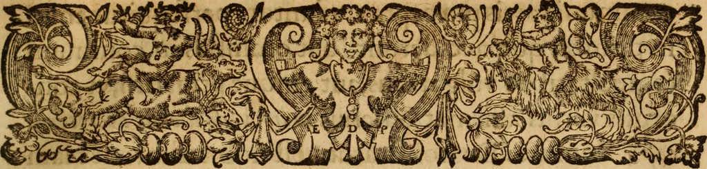 An illustration from Petri Francisci Phrygii ... Commentarii in historias epidemicas Hippocratis : in tres partes digesti .., 1644, leaf 20