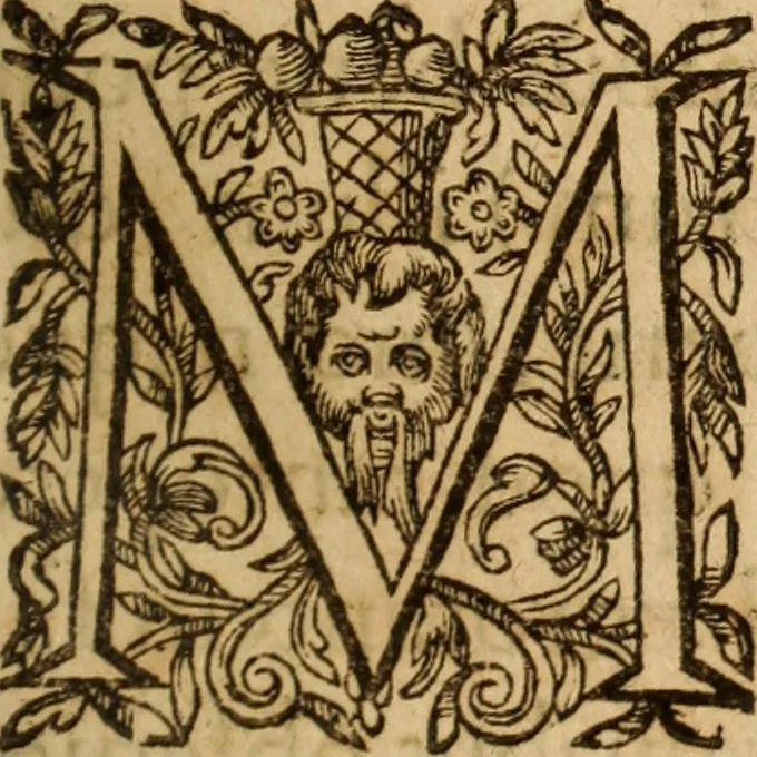 An illustration from Petri Francisci Phrygii ... Commentarii in historias epidemicas Hippocratis : in tres partes digesti .., 1644, leaf 20