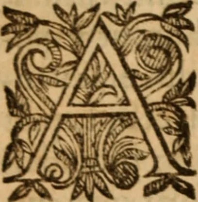 An illustration from Petri Francisci Phrygii ... Commentarii in historias epidemicas Hippocratis : in tres partes digesti .., 1644, leaf 205