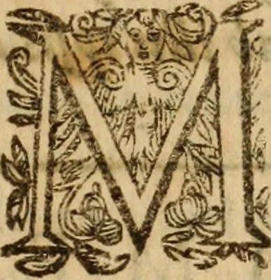 An illustration from Petri Francisci Phrygii ... Commentarii in historias epidemicas Hippocratis : in tres partes digesti .., 1644, leaf 216