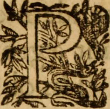 An illustration from Petri Francisci Phrygii ... Commentarii in historias epidemicas Hippocratis : in tres partes digesti .., 1644, leaf 23