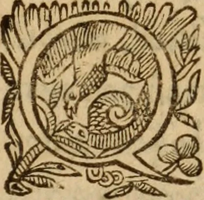 An illustration from Petri Francisci Phrygii ... Commentarii in historias epidemicas Hippocratis : in tres partes digesti .., 1644, leaf 268