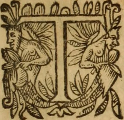 An illustration from Petri Francisci Phrygii ... Commentarii in historias epidemicas Hippocratis : in tres partes digesti .., 1644, leaf 308